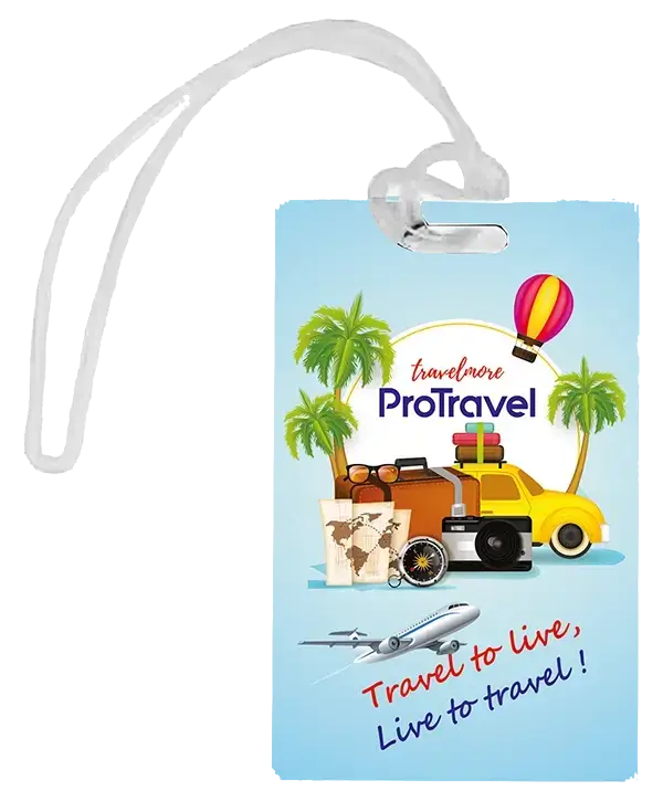 Unique luggage tag gifts